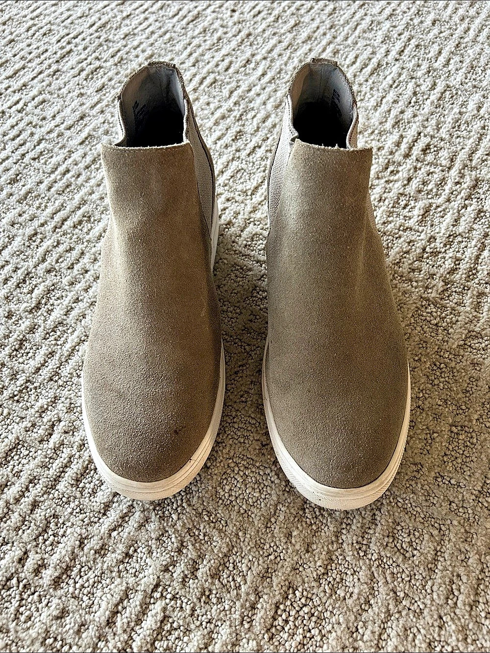 Steve Madden Sultan Women's taupe hidden wedge Sneakers